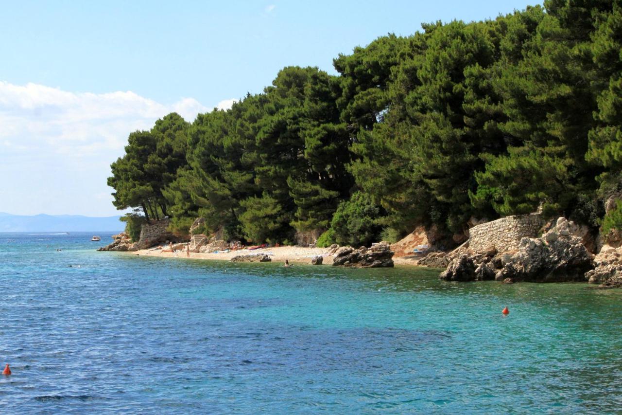 Apartments By The Sea Zivogosce - Mala Duba, Makarska - 2603 伊格拉恩 外观 照片